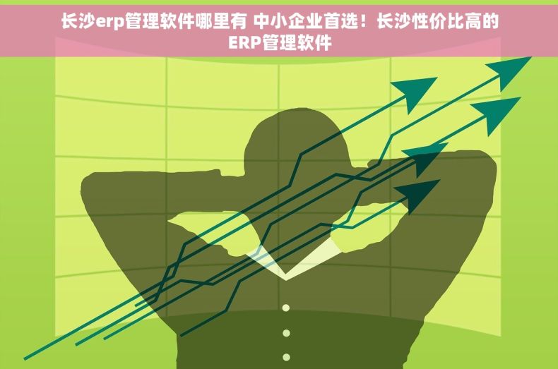 长沙erp管理软件哪里有 中小企业首选！长沙性价比高的ERP管理软件