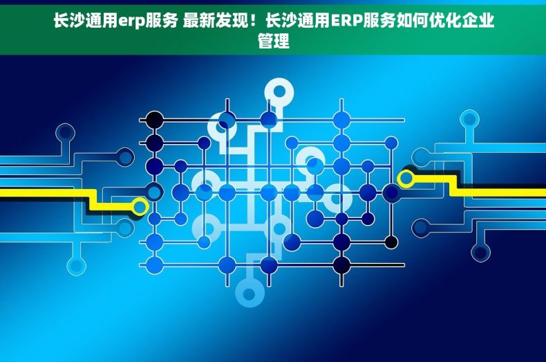 长沙通用erp服务 最新发现！长沙通用ERP服务如何优化企业管理