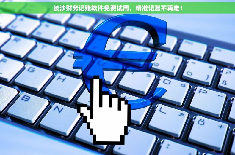 长沙财务记账软件免费试用，精准记账不再难！
