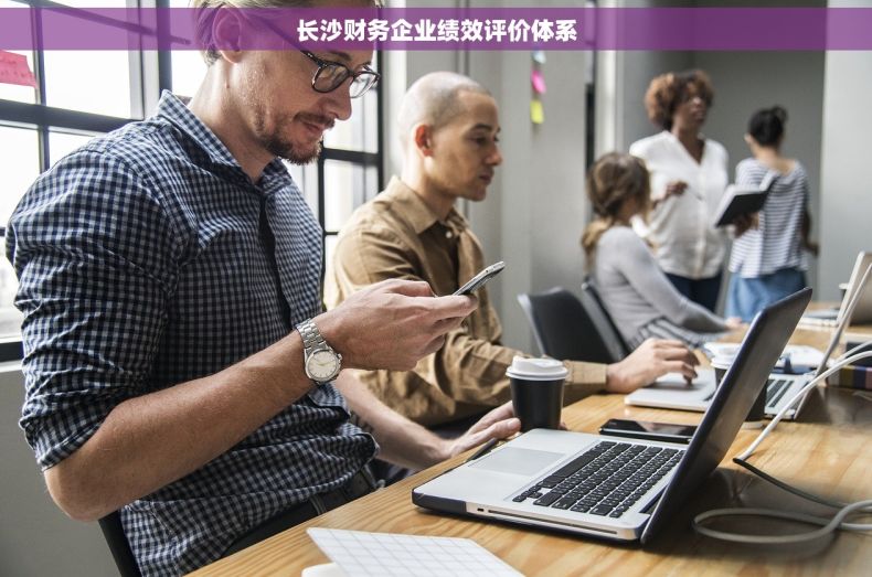 长沙财务企业绩效评价体系
