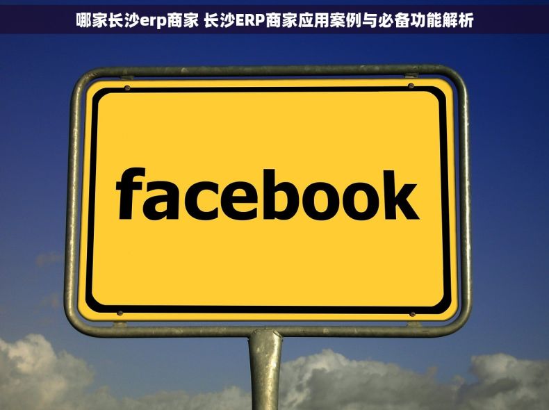哪家长沙erp商家 长沙ERP商家应用案例与必备功能解析