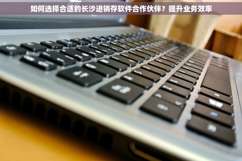 如何选择合适的长沙进销存软件合作伙伴？提升业务效率