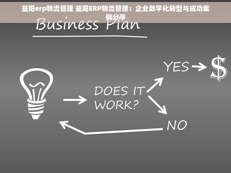 益阳erp物流管理 益阳ERP物流管理：企业数字化转型与成功案例分享