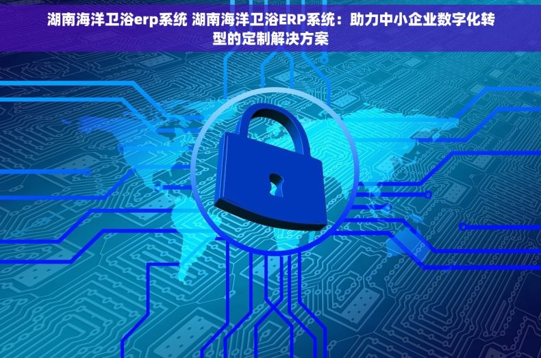 湖南海洋卫浴erp系统 湖南海洋卫浴ERP系统：助力中小企业数字化转型的定制解决方案