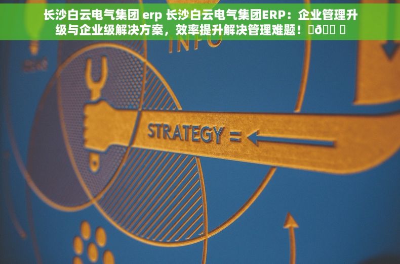 长沙白云电气集团 erp 长沙白云电气集团ERP：企业管理升级与企业级解决方案，效率提升解决管理难题！✨🛠️