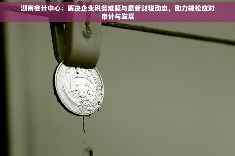 湖南会计中心：解决企业税务难题与最新财税动态，助力轻松应对审计与发展