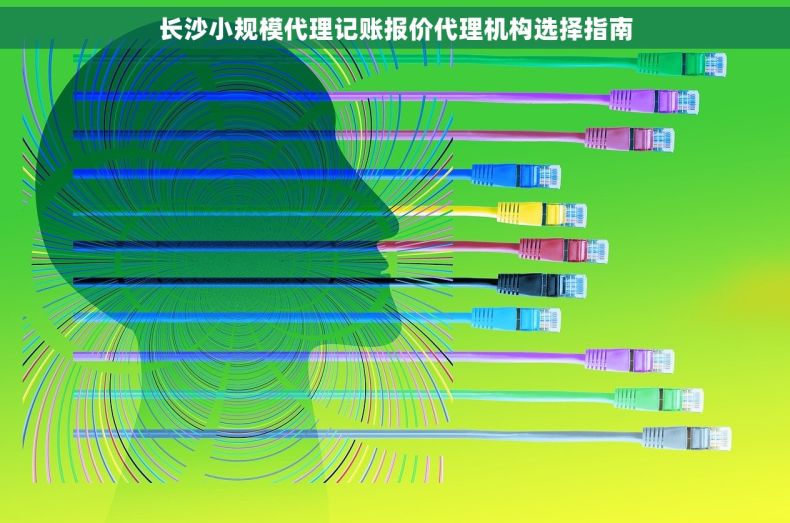 长沙小规模代理记账报价代理机构选择指南