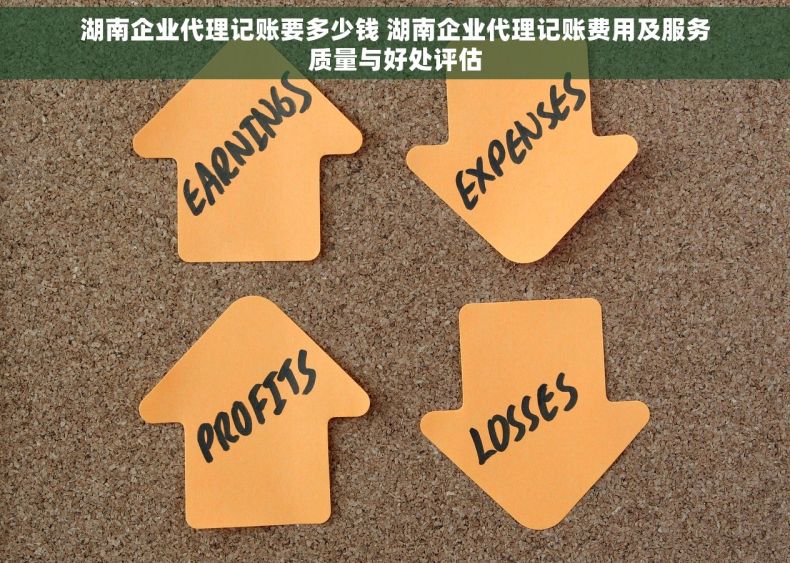湖南企业代理记账要多少钱 湖南企业代理记账费用及服务质量与好处评估