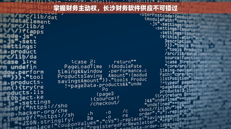 掌握财务主动权，长沙财务软件供应不可错过