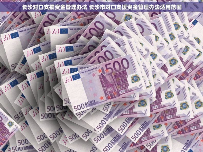 长沙对口支援资金管理办法 长沙市对口支援资金管理办法适用范围