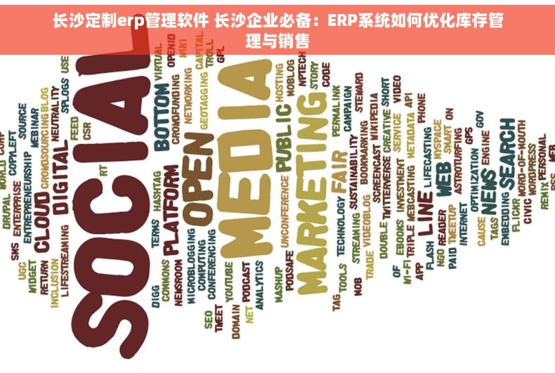长沙定制erp管理软件 长沙企业必备：ERP系统如何优化库存管理与销售