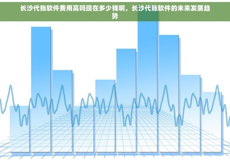 长沙代账软件费用高吗现在多少钱啊，长沙代账软件的未来发展趋势