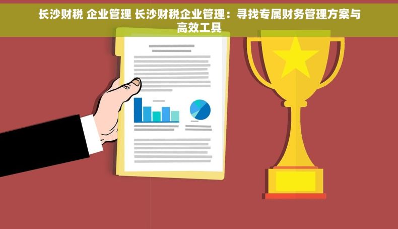 长沙财税 企业管理 长沙财税企业管理：寻找专属财务管理方案与高效工具