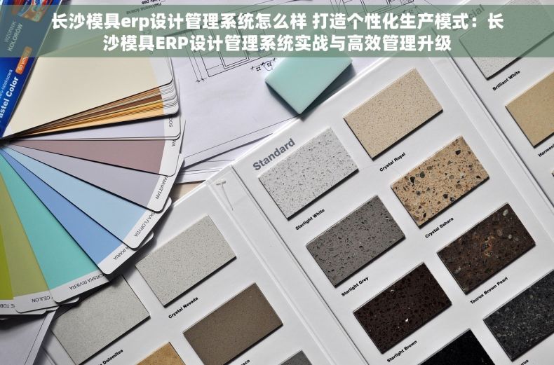 长沙模具erp设计管理系统怎么样 打造个性化生产模式：长沙模具ERP设计管理系统实战与高效管理升级