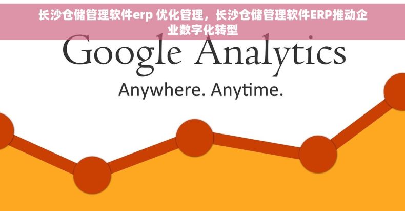 长沙仓储管理软件erp 优化管理，长沙仓储管理软件ERP推动企业数字化转型