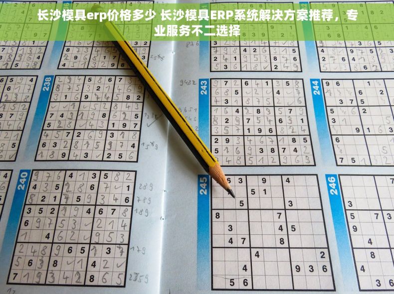 长沙模具erp价格多少 长沙模具ERP系统解决方案推荐，专业服务不二选择