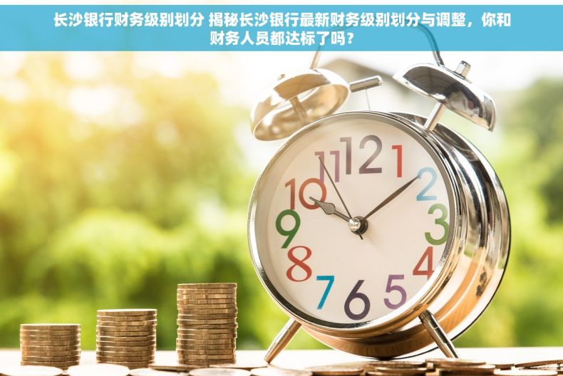 长沙银行财务级别划分 揭秘长沙银行最新财务级别划分与调整，你和财务人员都达标了吗？