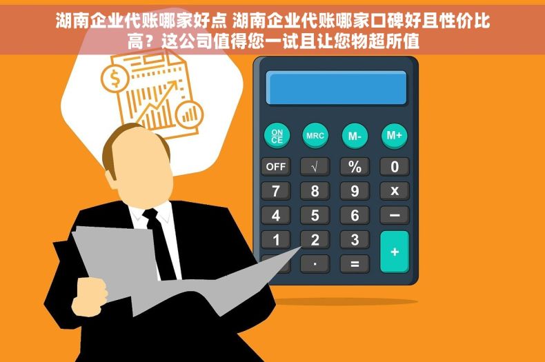 湖南企业代账哪家好点 湖南企业代账哪家口碑好且性价比高？这公司值得您一试且让您物超所值