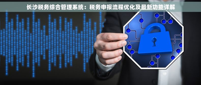 长沙税务综合管理系统：税务申报流程优化及最新功能详解