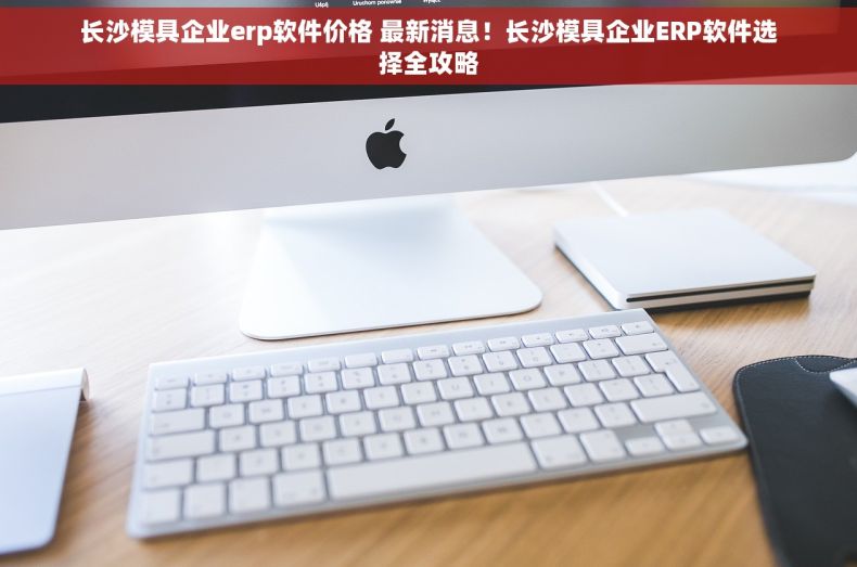 长沙模具企业erp软件价格 最新消息！长沙模具企业ERP软件选择全攻略