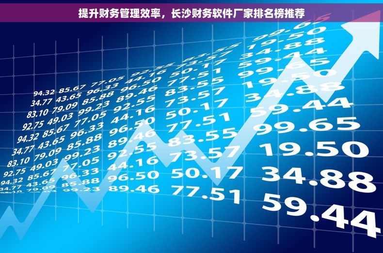 提升财务管理效率，长沙财务软件厂家排名榜推荐