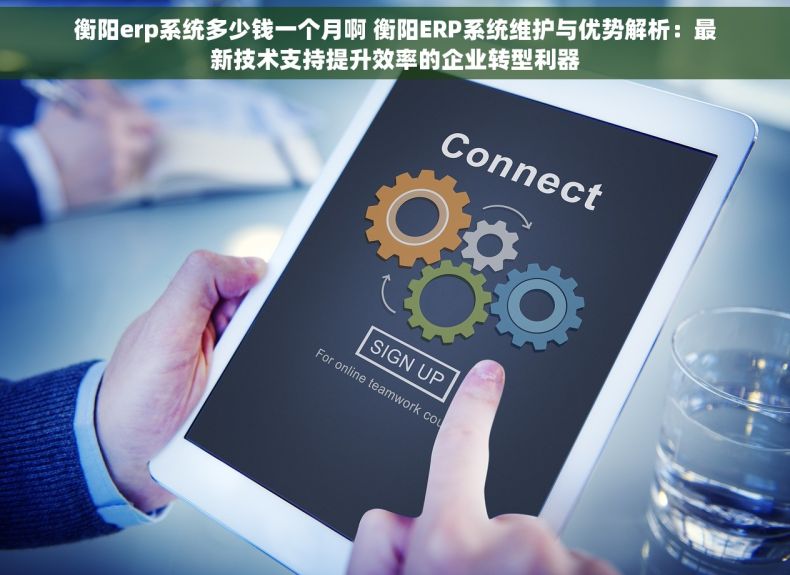 衡阳erp系统多少钱一个月啊 衡阳ERP系统维护与优势解析：最新技术支持提升效率的企业转型利器