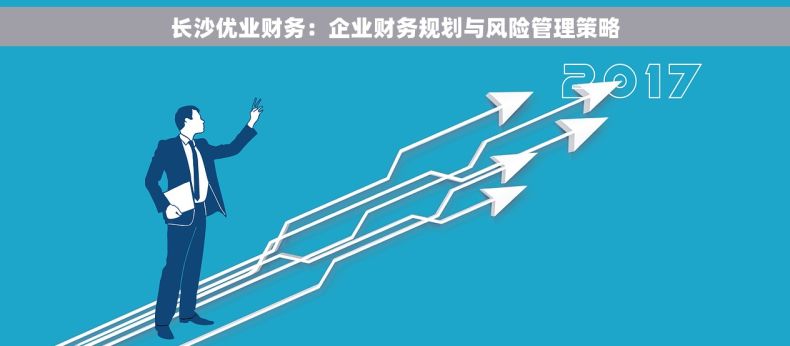 长沙优业财务：企业财务规划与风险管理策略