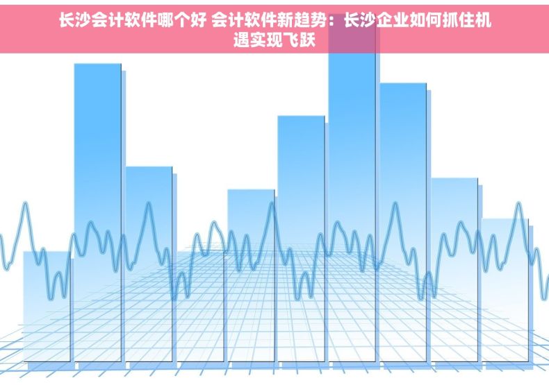 长沙会计软件哪个好 会计软件新趋势：长沙企业如何抓住机遇实现飞跃