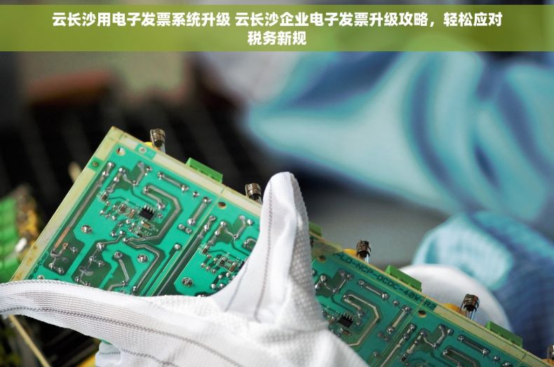 云长沙用电子发票系统升级 云长沙企业电子发票升级攻略，轻松应对税务新规