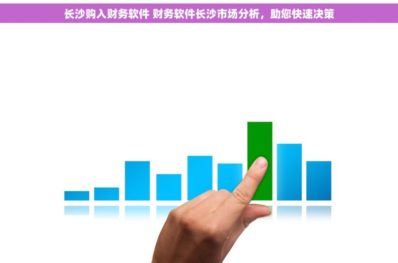 长沙购入财务软件 财务软件长沙市场分析，助您快速决策