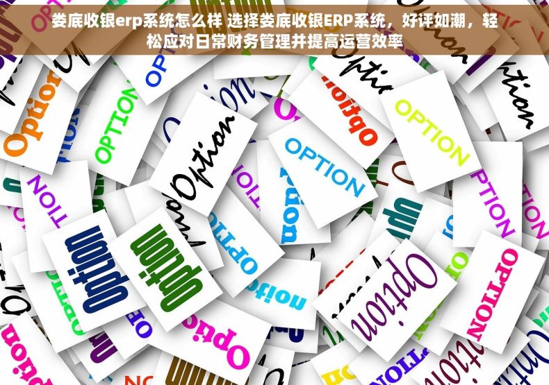 娄底收银erp系统怎么样 选择娄底收银ERP系统，好评如潮，轻松应对日常财务管理并提高运营效率