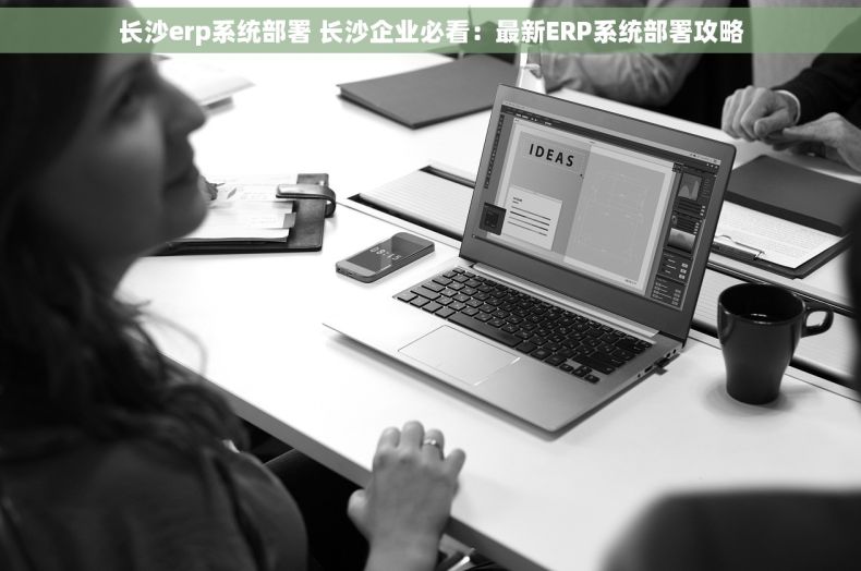 长沙erp系统部署 长沙企业必看：最新ERP系统部署攻略