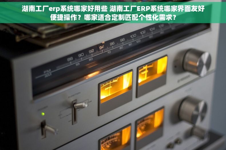湖南工厂erp系统哪家好用些 湖南工厂ERP系统哪家界面友好便捷操作？哪家适合定制匹配个性化需求？