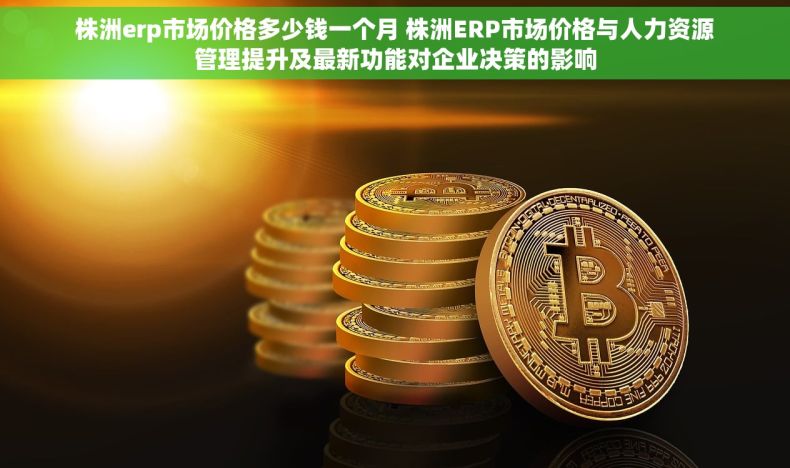 株洲erp市场价格多少钱一个月 株洲ERP市场价格与人力资源管理提升及最新功能对企业决策的影响