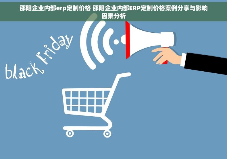 邵阳企业内部erp定制价格 邵阳企业内部ERP定制价格案例分享与影响因素分析