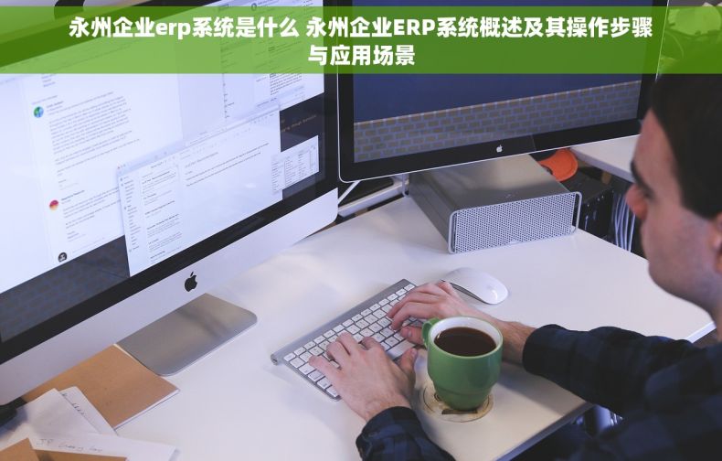 永州企业erp系统是什么 永州企业ERP系统概述及其操作步骤与应用场景
