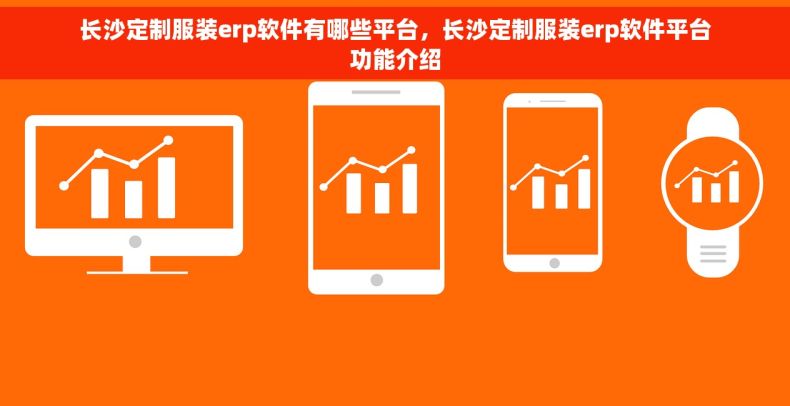 长沙定制服装erp软件有哪些平台，长沙定制服装erp软件平台功能介绍