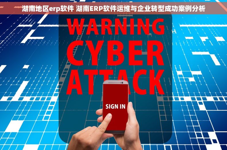 湖南地区erp软件 湖南ERP软件运维与企业转型成功案例分析