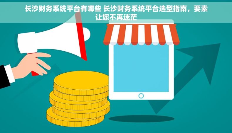 长沙财务系统平台有哪些 长沙财务系统平台选型指南，要素让您不再迷茫