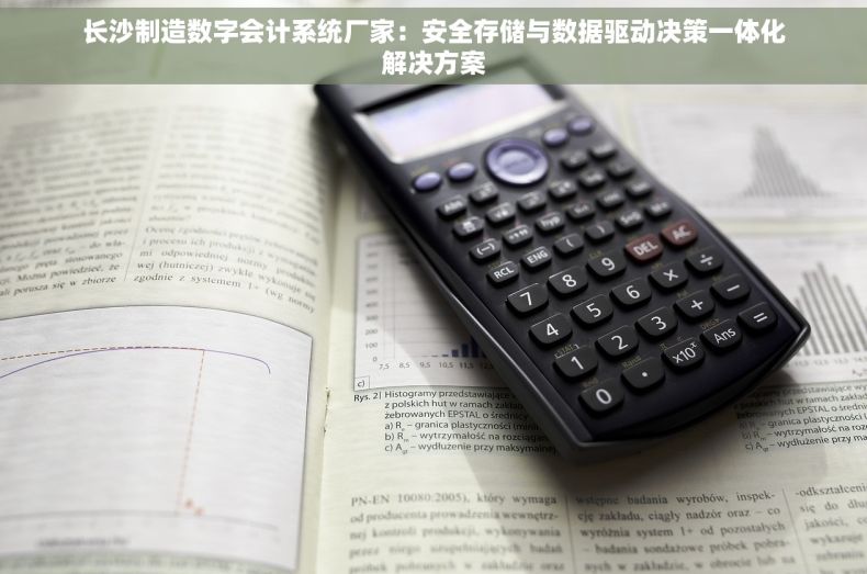 长沙制造数字会计系统厂家：安全存储与数据驱动决策一体化解决方案