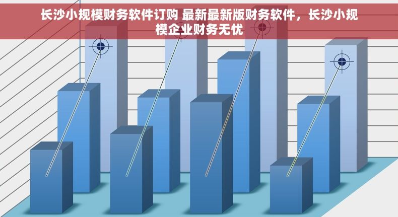 长沙小规模财务软件订购 最新最新版财务软件，长沙小规模企业财务无忧