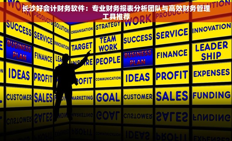 长沙好会计财务软件：专业财务报表分析团队与高效财务管理工具推荐