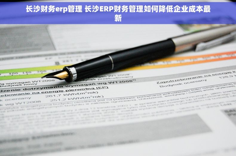 长沙财务erp管理 长沙ERP财务管理如何降低企业成本最新