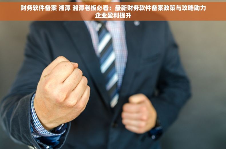 财务软件备案 湘潭 湘潭老板必看：最新财务软件备案政策与攻略助力企业盈利提升