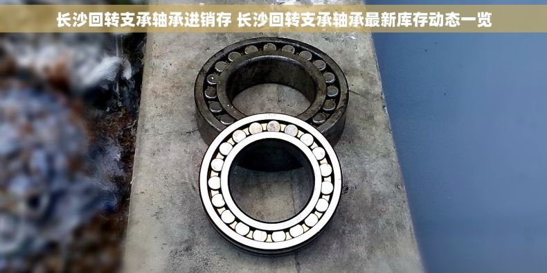 长沙回转支承轴承进销存 长沙回转支承轴承最新库存动态一览