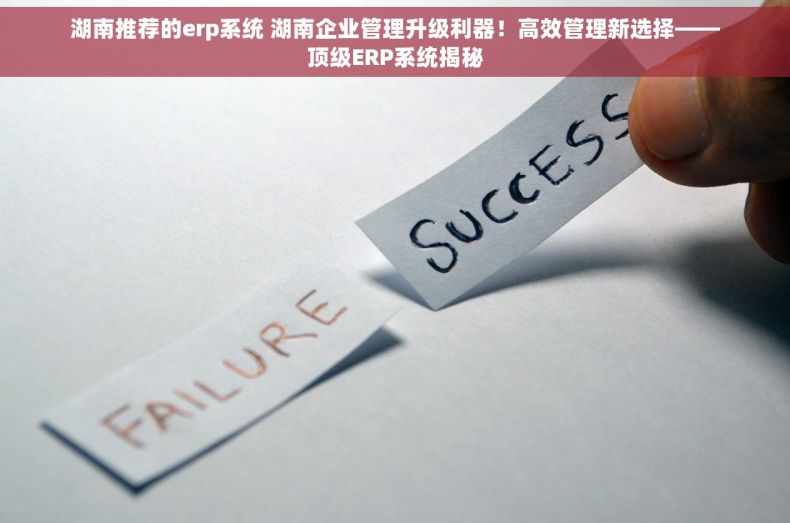 湖南推荐的erp系统 湖南企业管理升级利器！高效管理新选择——顶级ERP系统揭秘