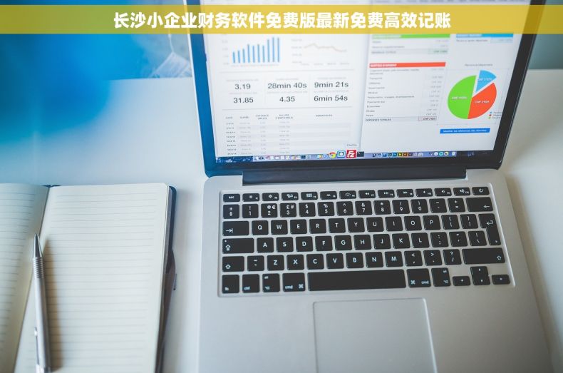 长沙小企业财务软件免费版最新免费高效记账