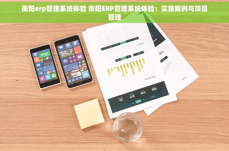 衡阳erp管理系统体验 衡阳ERP管理系统体验：实施案例与项目管理