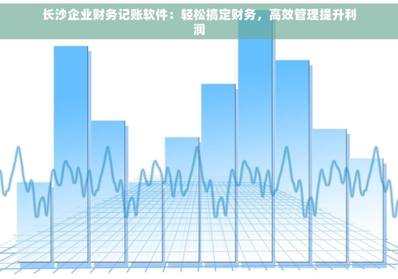 长沙企业财务记账软件：轻松搞定财务，高效管理提升利润