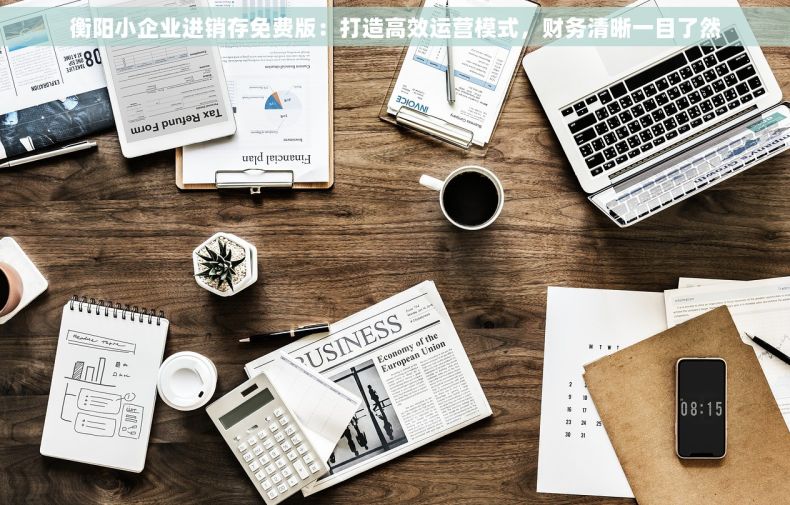 衡阳小企业进销存免费版：打造高效运营模式，财务清晰一目了然